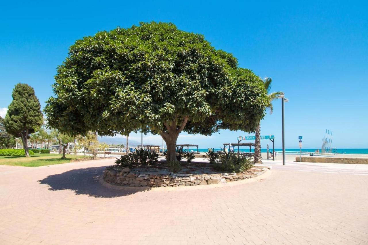 Fabuloso Apartamento A 50M De Playa Centrico Torre Del Mar Eksteriør bilde